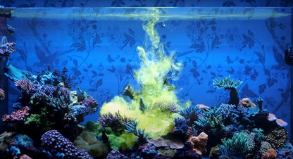 Red Sea - Reef Energy® Plus 1000 ml (AB+) - L.B.Reef