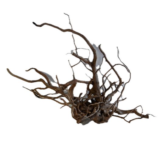 Whimar - Decor Spider Wood 45-60 cm Foto Reale